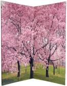 6 ft. Tall Double Sided Cherry Blossoms Room Divider