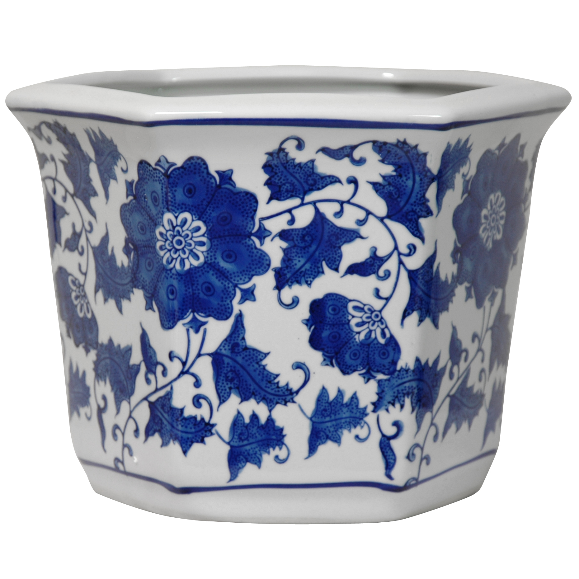 best potted plants Best Plants for Pots