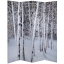 6 ft. Tall Double Sided Birch Trees Room Divider